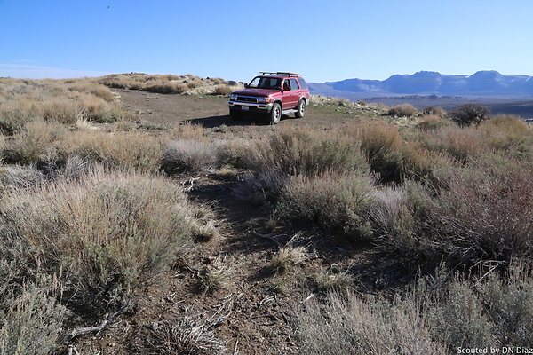 DNDIMG 7772 DNDIMG 7772