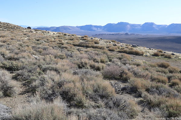 DNDIMG 7776 DNDIMG 7776