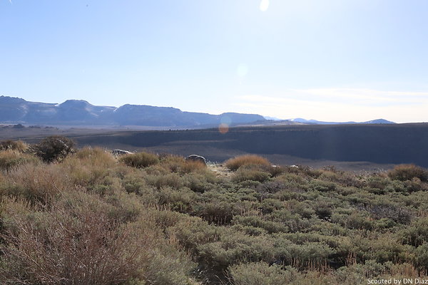 DNDIMG 7768 DNDIMG 7768