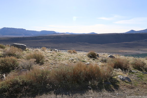 DNDIMG 7798 DNDIMG 7798