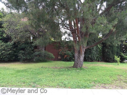 meyler 2950 143 meyler 2950 143