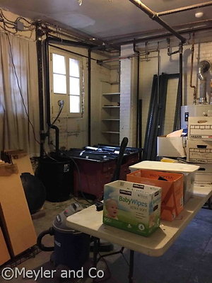 meyler 2950 116 meyler 2950 116