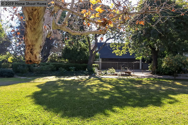 67backyard-side-view-reverse