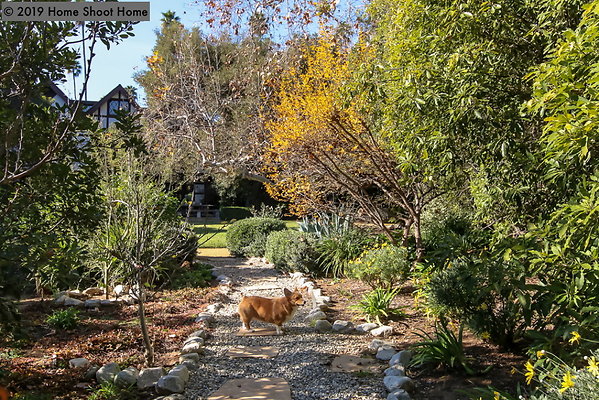 78garden-reverse-and-dog